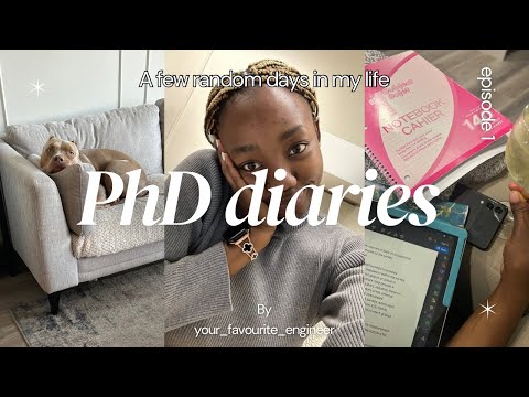 PhD Vlog | A Few Random Days in my life as a Civil Engineering PhD Student | Dogsitting | Formula1