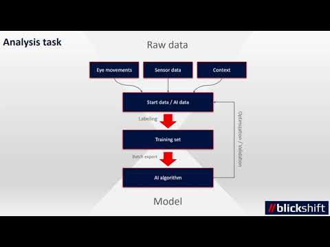 Blickshift Analytics : Support for AI development