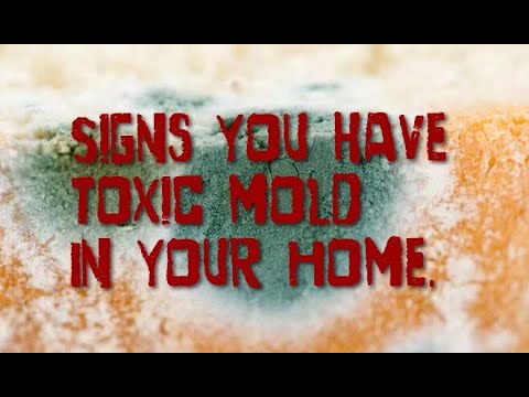 Signs you have toxic mold in your home