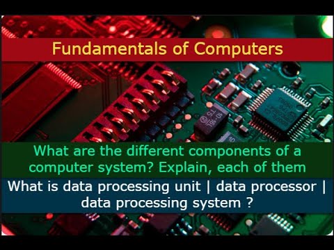 Discuss different components of a computer system? Explain, each of them | What is Data Processor?