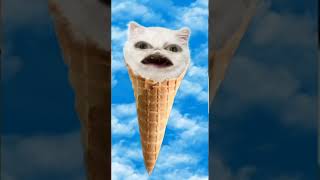 Meow meow meow