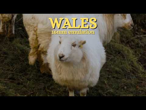 Snowdonia, Wales on 16mm | Film Emulation