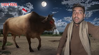 Finally Jersey Bull 2.0 Mil Gaya😱Live*Video-Proof