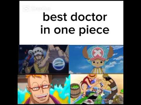 One Piece meme #onepiece #anime #luffy #marco #chopper #onepiecememe #trafalgarlaw