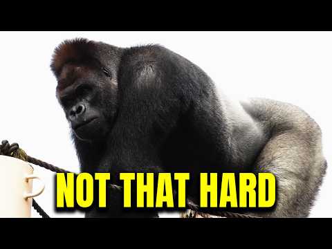 How 100 Men Could Easily Beat a Gorilla