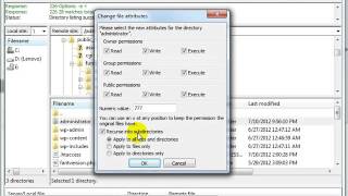 how to backup wordpress website