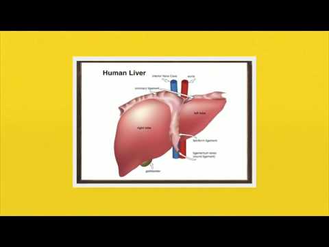 Liver Transplant Hospitals in India
