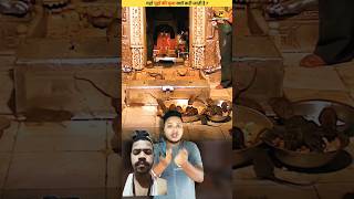 चूहों की पूजा का रहस्य! करणी 🦅माता मंदिर का अनोखा चमत्कार | Karni Mata Mandir Mystery