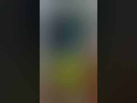 🤩Smart appliances, new gadgets, versatile utensils, toolitems #funny #shorts