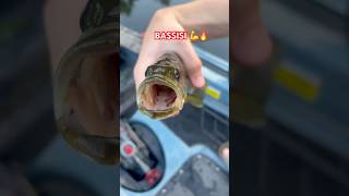 Caught A BASSISI🎣💪🔥 #viral #bass #shortsviral #fishing