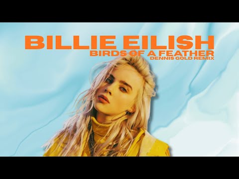Billie Eilish - Birds Of A Feather (Dennis Gold / Afro House Remix )