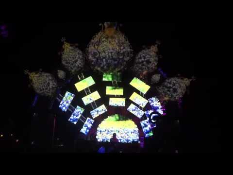 Enchanted Forest Gathering - 02