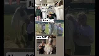 #growyourchannel #horse #horseenthusiast #equestrian #horsefan #horsegirl #birthday