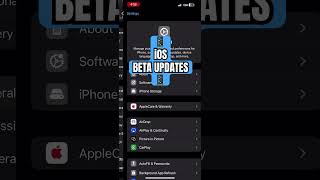 How to get iOS Beta Updates on iPhone
