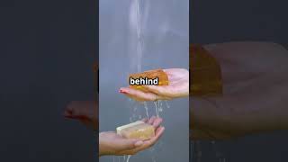 Can Soap Move Pepper Away? | Quick Science Challenge! #didyouknow #science #sciencechallenge
