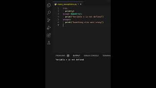 Python Many Exceptions | Learning | #learn #learnpython #learning #python #variables #global #code