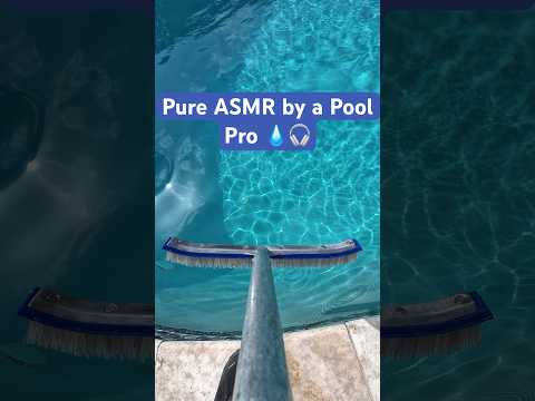 Certified Pool Pro ASMR 😌💦 #ASMRcleaning #PoolASMR  #brushing  #DeepClean #SatisfyingSounds #pool
