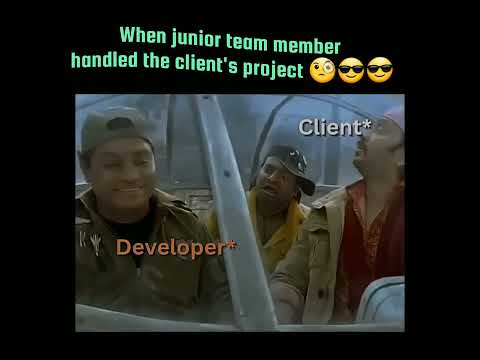 A junior team member handled the client's project.
