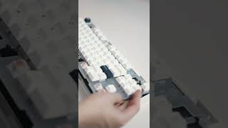 Inside the MONOKEI Standard