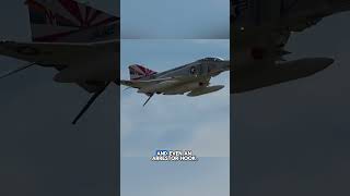 This Giant scale RC F4 Phantom has pilots that watch your every move...  #radiocontrol #rcjet