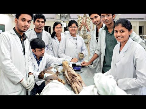 MDCAT Motivation | MDCAT experience #mdcat #mdcatpreparationtips #mdcatmotivation #doctor