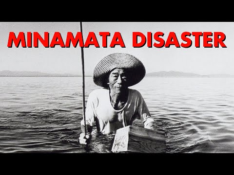 The Minamata Mercury Disaster (Mini-Documentary)