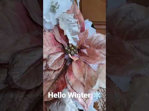 Bye Fall 🍁 - Hello Winter ❄️