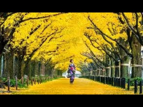 Japan Music, Healing Music, Soothing Music, Calming Music, Study Music, Japanese Music