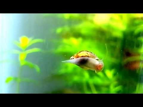 20130422_134604