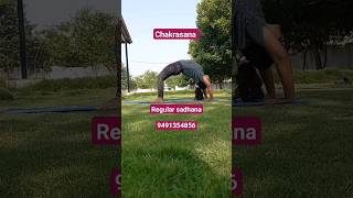 Chakrasana#wheelpose#yogiclife#yoga#fatburnyoga###anandhayoga