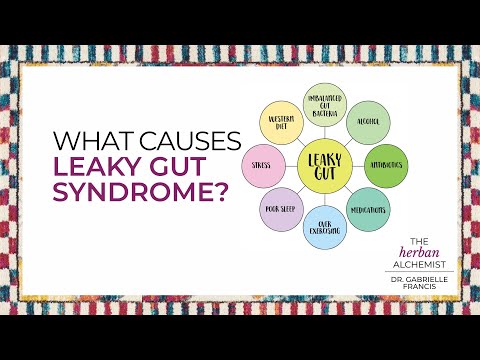 Top Causes of Leaky Gut | What’s Damaging Your Gut Lining?
