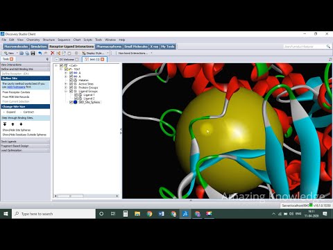 Protein preparation for molecular docking using Discovery Studio