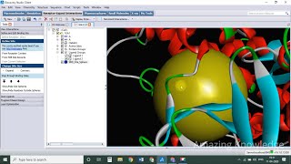 Protein preparation for molecular docking using Discovery Studio