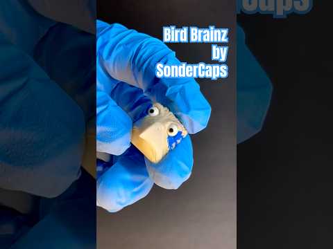 Bird Brainz Blueprint by sonder.caps #keycaps #resinart #diy #artisankeycap  #digdeepmech