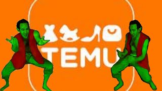The Temu Glitch Gremlin