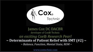 Factors that Determine Positive Patient Response to Spinal Manipulation (#2)