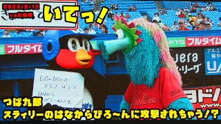 つば九郎　スラィリーのはなからぴろ〜んに攻撃されちゃう！？　2023/9/13 vs広島