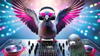 Hour of Code 2024 Overview