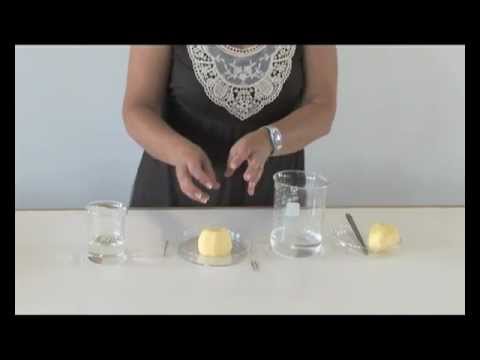 Video 12 - TEST TO PREDICT THE DIRECTION OF OSMOSIS.mov