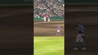#糸原健斗 母の日仕様で打席に向かう代打糸原 #阪神タイガース