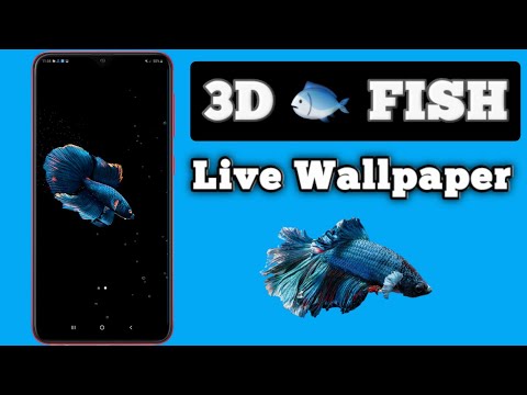 Fish live wallpaper | 3D fish live wallpaper | Moving fish live wallpaper
