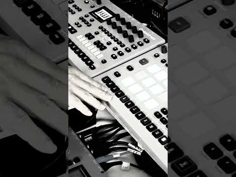 Amoureux solitaires - Lio - Live Elektronized Version (ïookem cover)