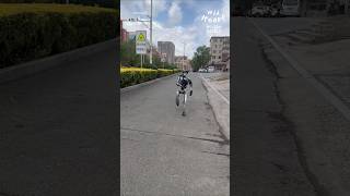 Watch This Robot Learn Outside