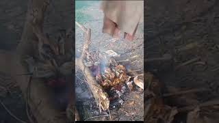 bakar ikan hasil mancing..!!#shorts