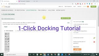 How to do molecular docking using 1-Click Docking online server