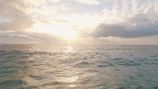 Focus Boost: Calm Ambient Music for Deep Concentration #4