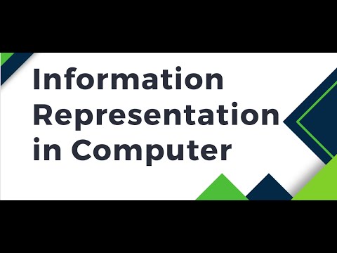 Information Representation in Computers | Types of Data: Numeric, Character, Multimedia