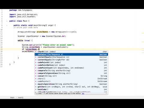 Zoo Animals Names (Java ArrayList) Task walkthrough