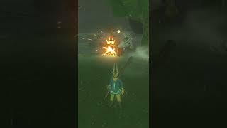It's a WAR! (Pt. 5) #thelegendofzeldatearsofthekingdom