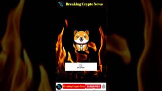 Breaking Crypto News | 3.6 Tirrilion BabyDoge Burned